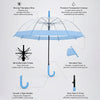 Blue Big Border Transparent Umbrella for Teens & Adults
