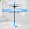 Blue Big Border Transparent Umbrella for Teens & Adults