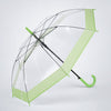 Green Big Border Transparent Umbrella for Teens & Adults