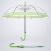 Green Big Border Transparent Umbrella for Teens & Adults