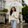 Green Big Border Transparent Umbrella for Teens & Adults