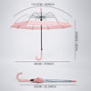 Peach Big Border Transparent Umbrella for Teens & Adults