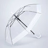 White Big Border Transparent Umbrella for Teens & Adults