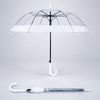 White Big Border Transparent Umbrella for Teens & Adults