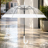 White Big Border Transparent Umbrella for Teens & Adults