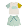 Coral Dream T-shirt with Aqua Shorts Unisex Set