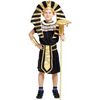 Halloween costume - Egyptian Royal Pharaoh