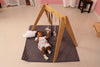 Wooden PlayGym with Mini Tent - Baby Blue
