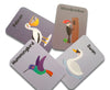 Birds Flashcards For Kids- Pack Of 24