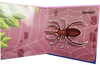 Creepy Crawlies Pop-Up Book