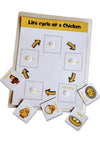 4 Lifecycle Activity (Bee, Butterfly, Frog And Chicken)