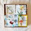 Newborn Gift Box - Sweet Dreams